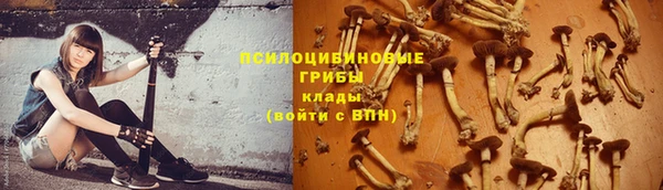 герыч Арсеньев