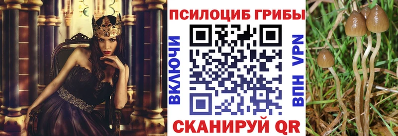 кракен вход Облучье Псилоцибиновые грибы прущие грибы сайты даркнета Telegram что такое