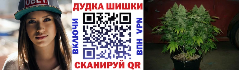 мориарти какой сайт  Облучье  Бошки марихуана AK-47 
